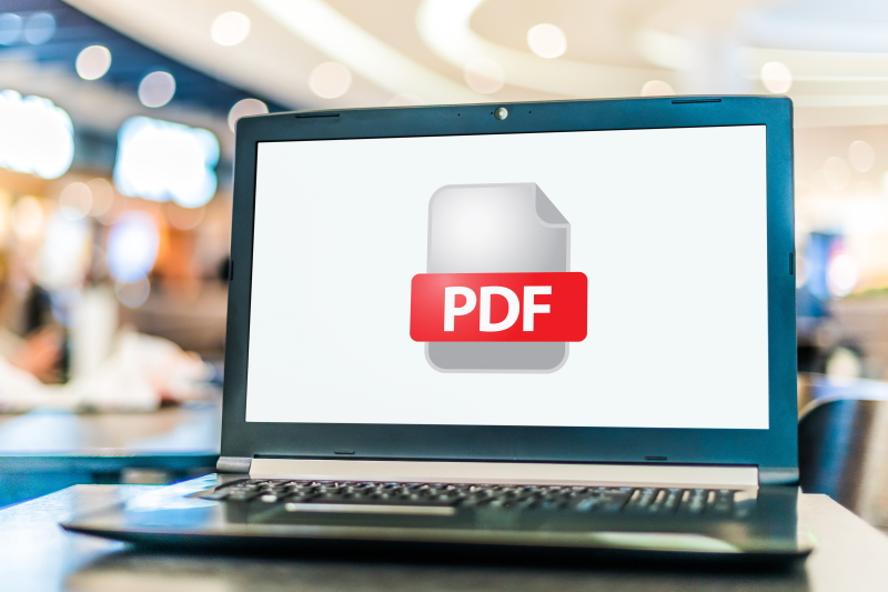 Visuel d'un logo PDF dans un ordinateur portable.