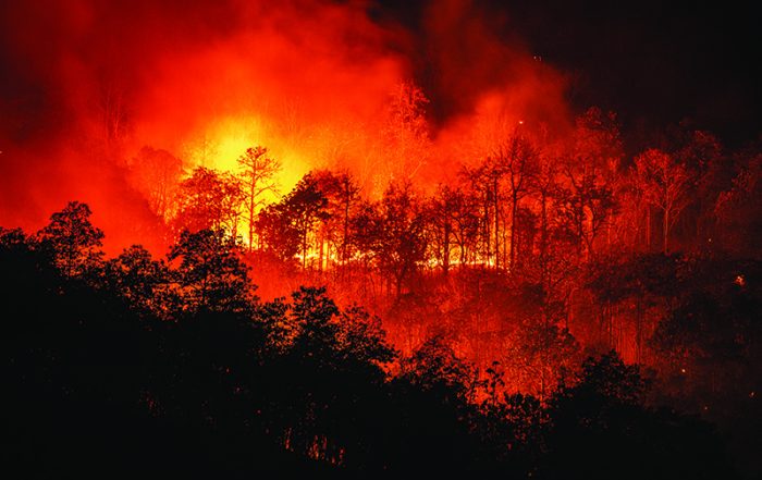 Forest fire wildfire at night time on the mountain with big smoke © iStockphoto